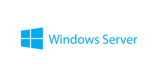 Lenovo 7S050029WW, Windows Server 2019 Client Access Licenec (10 User)