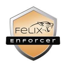 Felix T1F-EPE01-017-FA, ENFORCER SECURITY, PROTECTS AGAINST MALWARE &amp; THREATS,1 USER, 12MTH SUB OEM