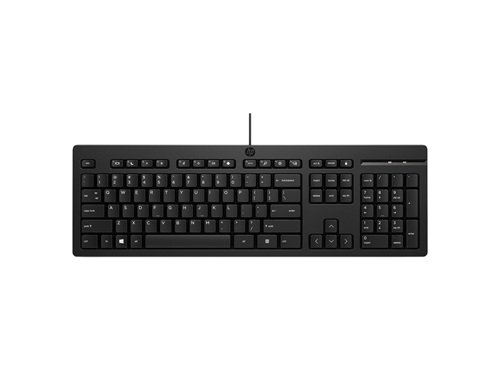 HP AY2Y7AA, 125 G2 USB Wired Keyboard, 3-Zone Layout, Standard Key Travel, 1 Year Warranty (replaces 266C9AA)