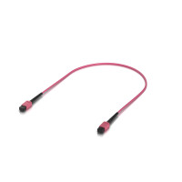 Ubiquiti OFC-MA-MPMP-0.5M, Indoor OM4 Multi-mode Fiber Patch Cable, 0.5M, Single-pack, With MPO-12 Type B UPC Connectors, Designed For 100G Applications